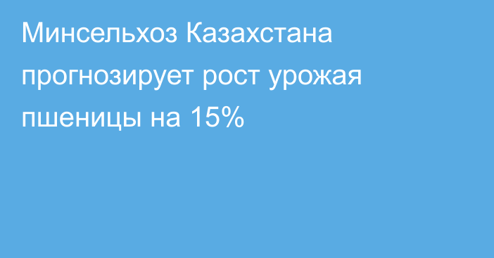 Минсельхоз Казахстана прогнозирует рост урожая пшеницы на 15%