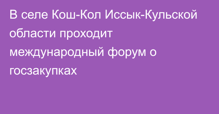 В селе Кош-Кол Иссык-Кульской области проходит международный форум о госзакупках