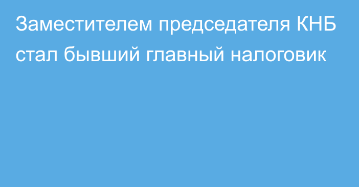 Заместителем председателя КНБ стал бывший главный налоговик