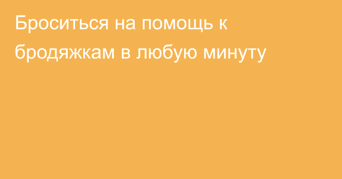 Броситься на помощь к бродяжкам в любую минуту