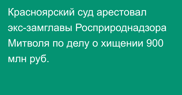 Красноярский суд арестовал экс-замглавы Росприроднадзора Митволя по делу о хищении 900 млн руб.