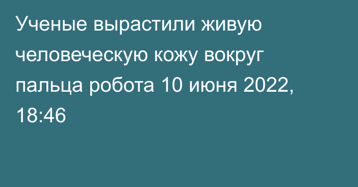 Ученые вырастили живую человеческую кожу вокруг пальца робота
                10 июня 2022, 18:46