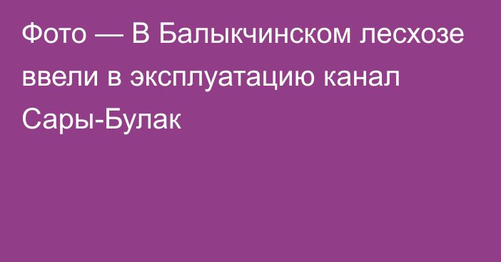 Фото — В Балыкчинском лесхозе ввели в эксплуатацию канал Сары-Булак