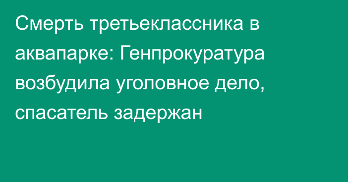 Смерть третьеклассника в аквапарке: Генпрокуратура возбудила уголовное дело, спасатель задержан