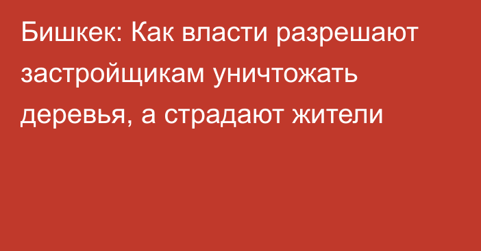 Бишкек: Как власти разрешают застройщикам уничтожать деревья, а страдают жители