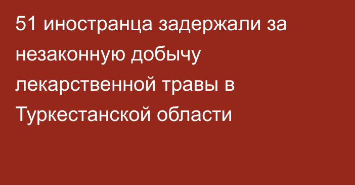 51 иностранца задержали за незаконную добычу лекарственной травы в Туркестанской области