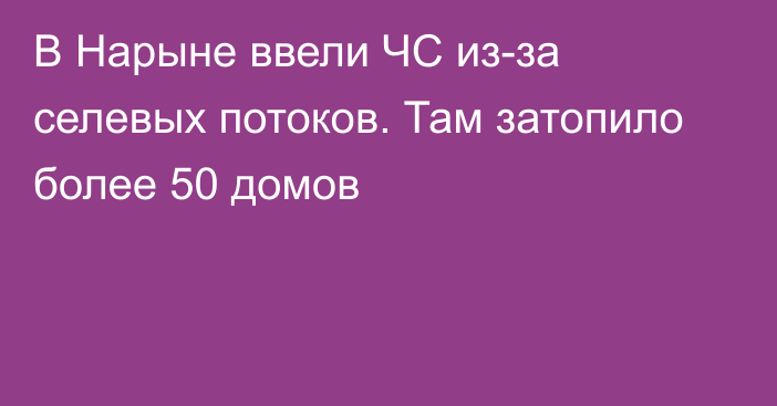 В Нарыне ввели ЧС из-за селевых потоков. Там затопило более 50 домов