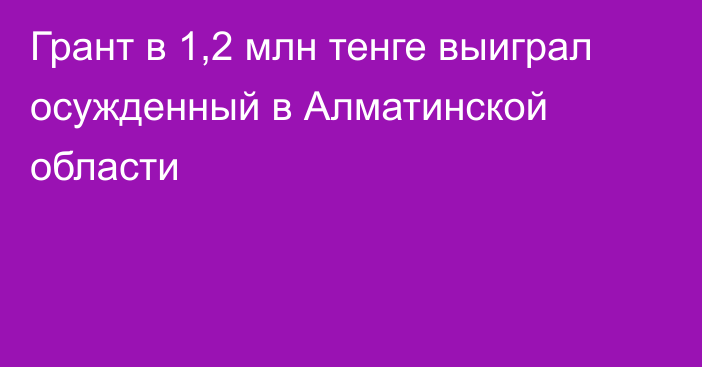 Грант в 1,2 млн тенге выиграл осужденный в Алматинской области