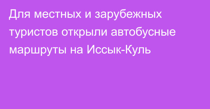 Для местных и зарубежных туристов открыли автобусные маршруты на Иссык-Куль