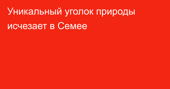 Уникальный уголок природы исчезает в Семее