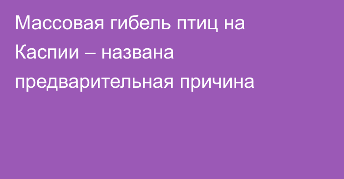 Массовая гибель птиц на Каспии – названа предварительная причина