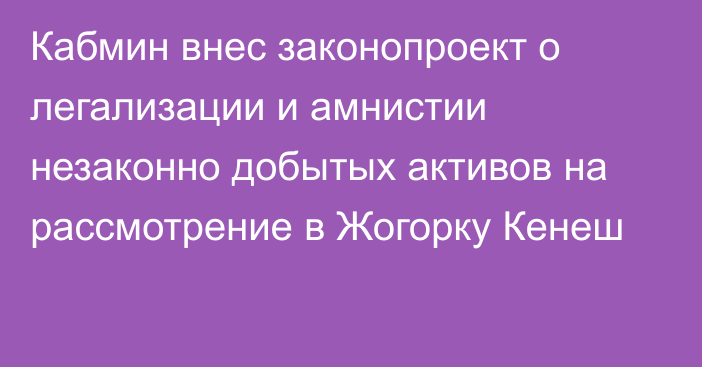 Кабмин внес законопроект о легализации и амнистии незаконно добытых активов на рассмотрение в Жогорку Кенеш