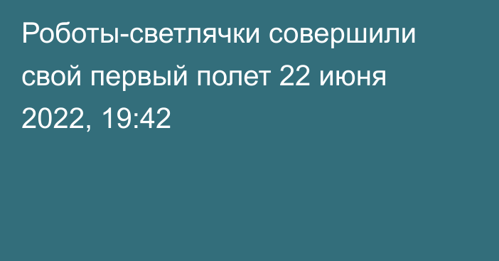 Роботы-светлячки совершили свой первый полет
                22 июня 2022, 19:42