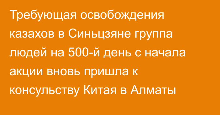 Требующая освобождения казахов в Синьцзяне группа людей на 500-й день с начала акции вновь пришла к консульству Китая в Алматы