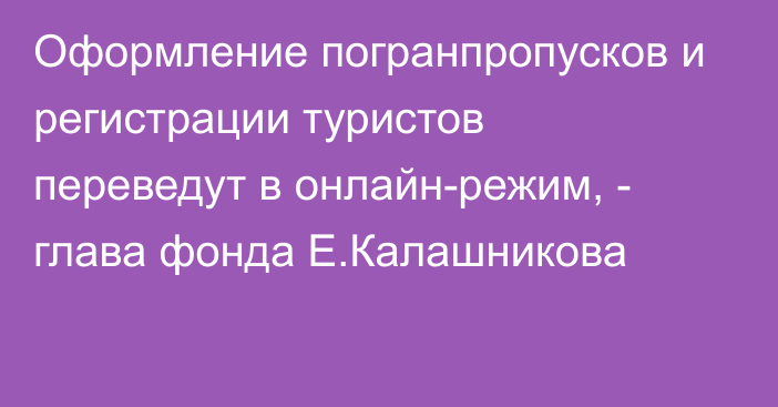 Оформление погранпропусков и регистрации туристов переведут в онлайн-режим, - глава фонда Е.Калашникова