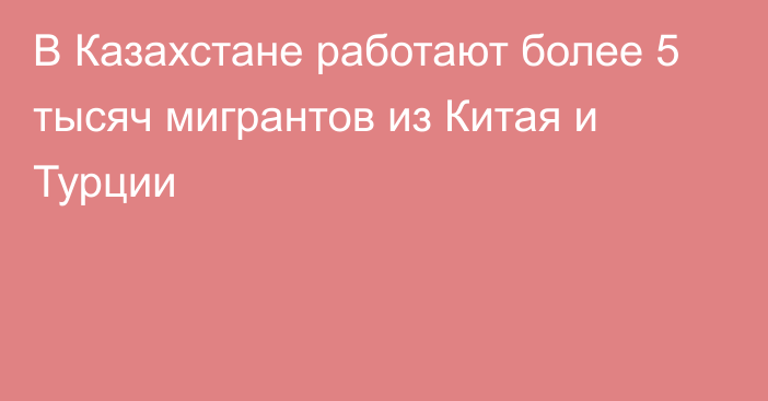 В Казахстане работают более 5 тысяч мигрантов из Китая и Турции