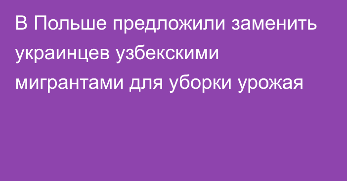 В Польше предложили заменить украинцев узбекскими мигрантами для уборки урожая