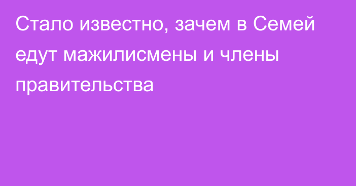 Стало известно, зачем в Семей едут мажилисмены и члены правительства