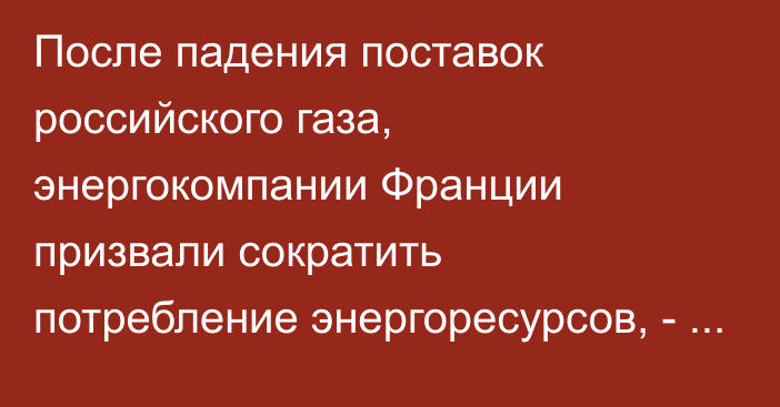 После падения поставок российского газа, энергокомпании Франции призвали сократить потребление энергоресурсов, - РБК