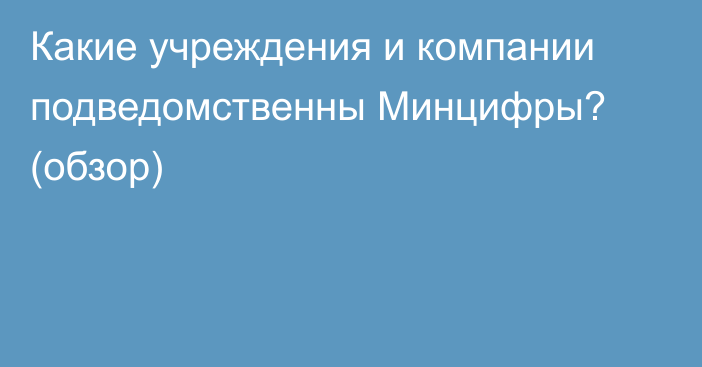 Какие учреждения и компании подведомственны Минцифры? (обзор)