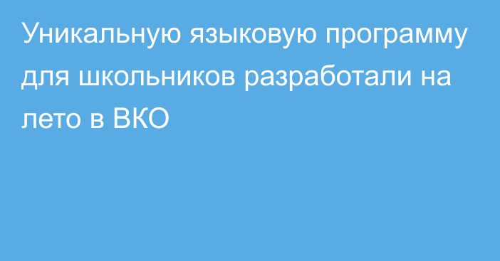 Уникальную языковую программу для школьников разработали на лето в ВКО