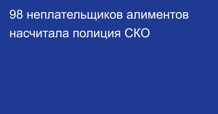 98 неплательщиков алиментов насчитала полиция СКО