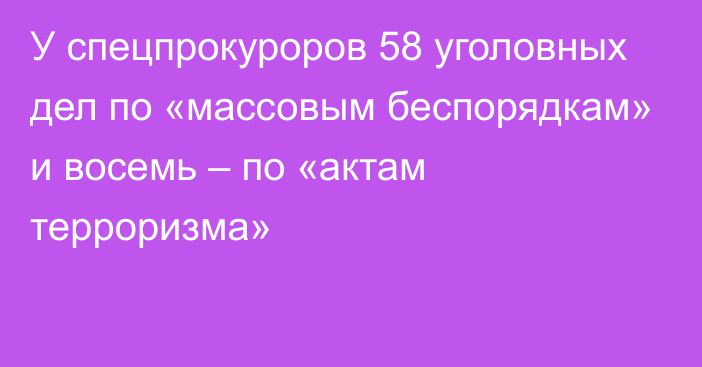 У спецпрокуроров 58 уголовных дел по «массовым беспорядкам» и восемь – по «актам терроризма»