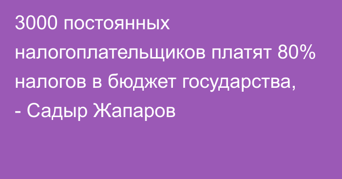 3000 постоянных налогоплательщиков платят 80% налогов в бюджет государства, - Садыр Жапаров