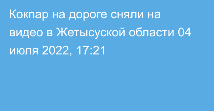 Кокпар на дороге сняли на видео в Жетысуской области
                04 июля 2022, 17:21