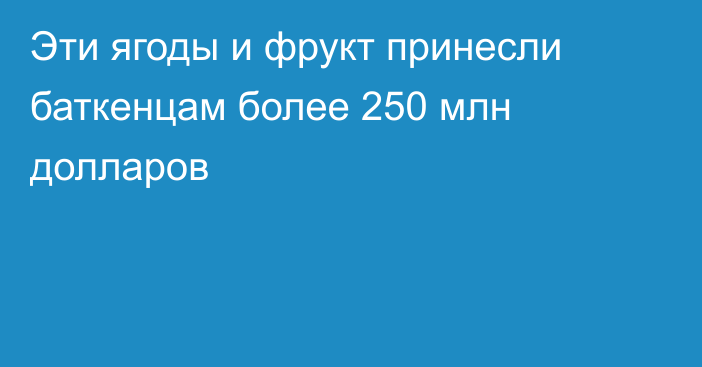 Эти ягоды и фрукт принесли баткенцам более 250 млн долларов