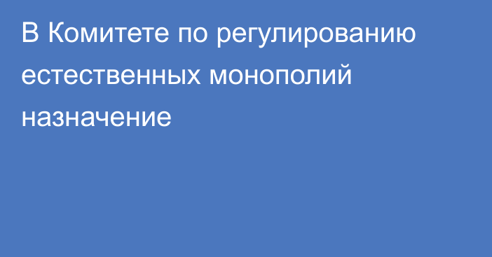 В Комитете по регулированию естественных монополий назначение