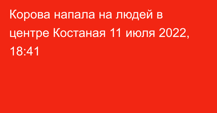 Корова напала на людей в центре Костаная
                11 июля 2022, 18:41