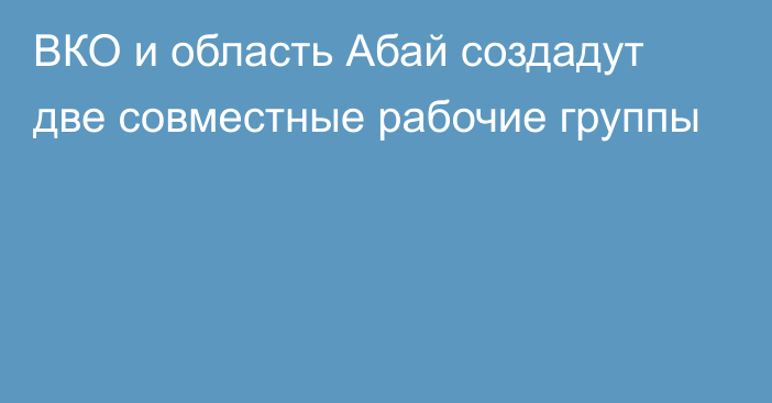 ВКО и область Абай создадут две совместные рабочие группы