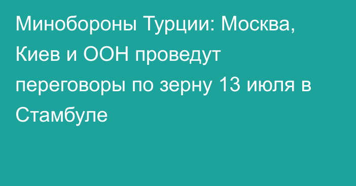 Минобороны Турции: Москва, Киев и ООН проведут переговоры по зерну 13 июля в Стамбуле