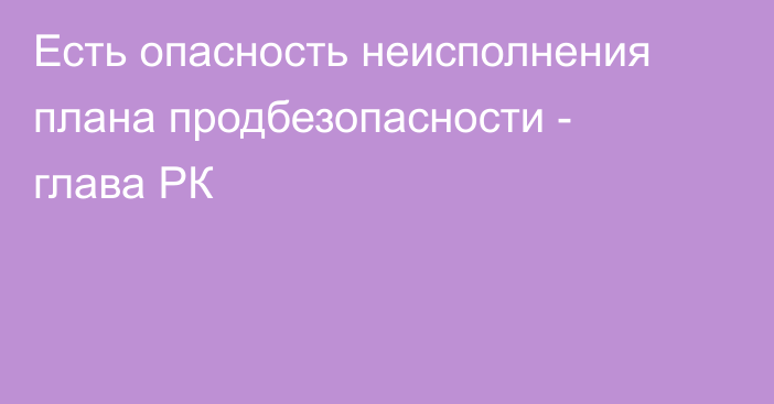 Есть опасность неисполнения плана продбезопасности - глава РК