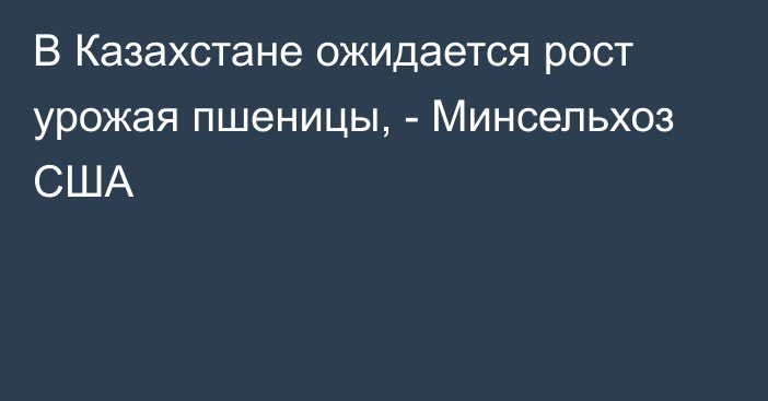 В Казахстане ожидается рост урожая пшеницы, - Минсельхоз США