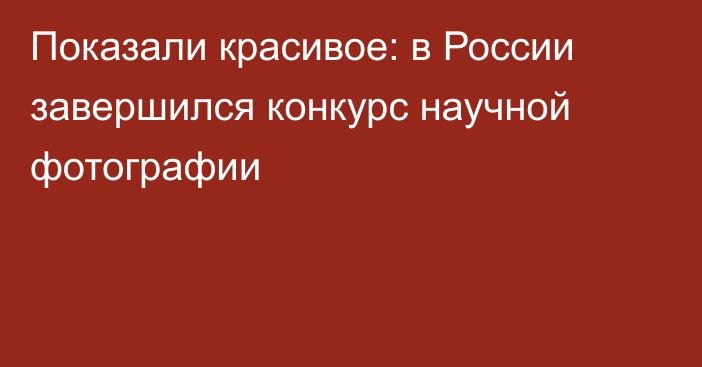 Показали красивое: в России завершился конкурс научной фотографии