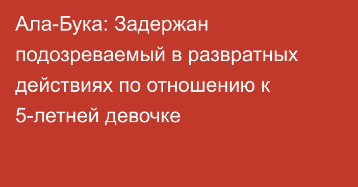 Ала-Бука: Задержан подозреваемый в развратных действиях по отношению к 5-летней девочке