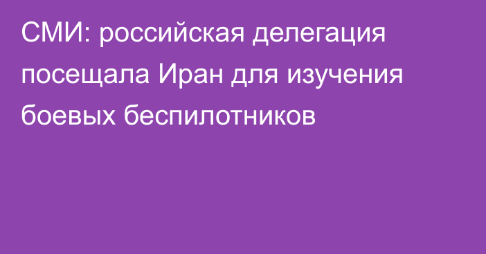 СМИ: российская делегация посещала Иран для изучения боевых беспилотников