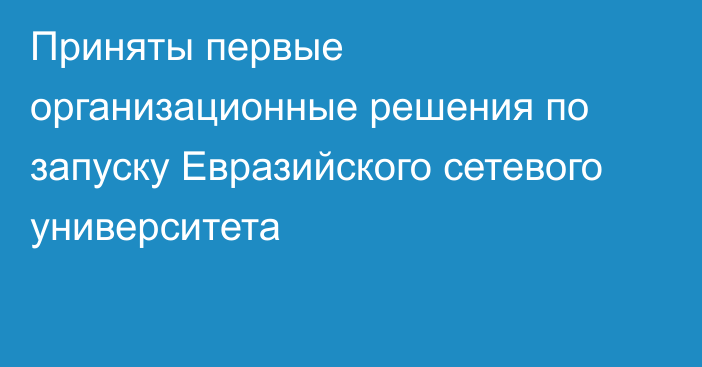 Приняты первые организационные решения по запуску Евразийского сетевого университета