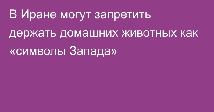 В Иране могут запретить держать домашних животных как «символы Запада»