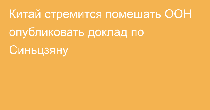 Китай стремится помешать ООН опубликовать доклад по Синьцзяну