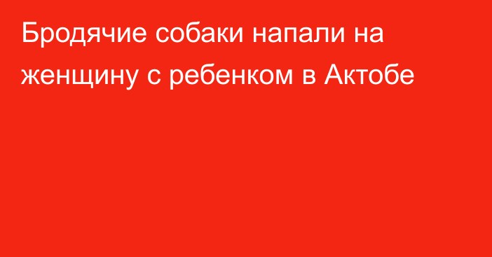 Бродячие собаки напали на женщину с ребенком в Актобе