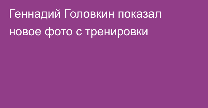 Геннадий Головкин показал новое фото с тренировки