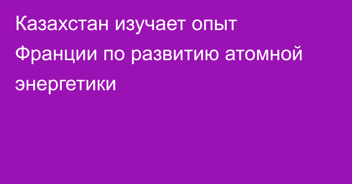 Казахстан изучает опыт Франции по развитию атомной энергетики