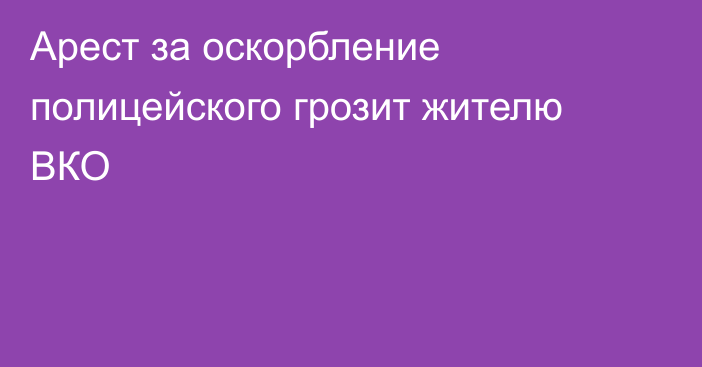 Арест за оскорбление полицейского грозит жителю ВКО