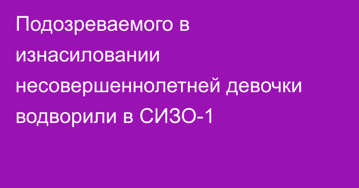 Подозреваемого в изнасиловании несовершеннолетней девочки водворили в СИЗО-1