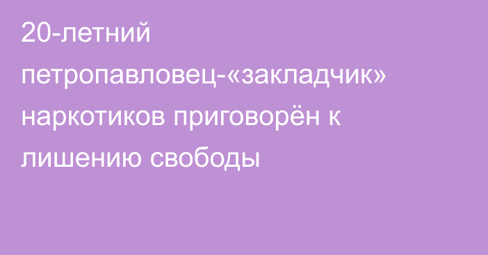 20-летний петропавловец-«закладчик» наркотиков приговорён к лишению свободы