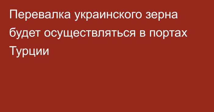 Перевалка украинского зерна будет осуществляться в портах Турции