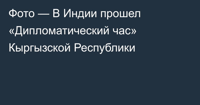 Фото — В Индии прошел «Дипломатический час» Кыргызской Республики